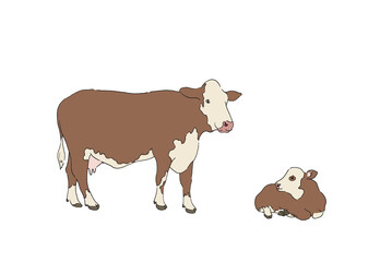 牛のイラスト-手描きの線画