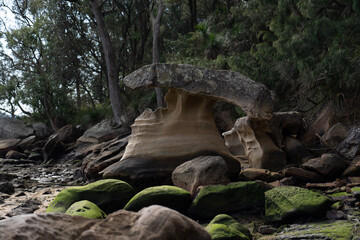 big rock on Bush walk in the Ku-ring-gai Chase National Park down to Flint and Steel Beach, north of Sydney, bush walk leading to beach