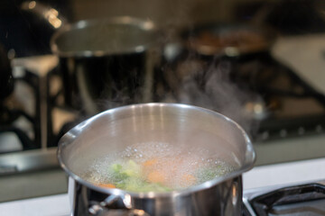 cooking pot with vegetables, vegetables cooking in water in pot on stove top
