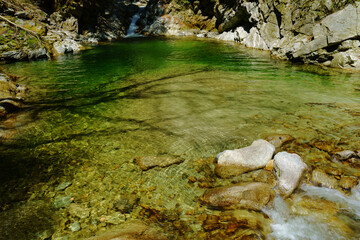 Naklejka na ściany i meble 渓谷の川の縁の水がエメラルドグリーン色で美しい
