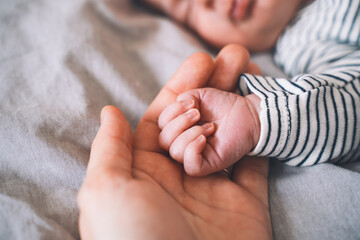 Baby hand into parent hands. Family happiness concept. Sleeping newborn in first days of life. Mother holding baby hand. - obrazy, fototapety, plakaty