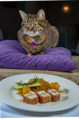 The cat sits on a purple cushion in front of a plate of smoked fish