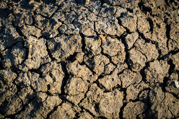 The dry cracked ground, Ground in drought, Soil texture and dry mud, Dry land, for use background or wallpaper, copy space for text.