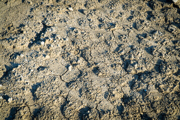 The dry cracked ground, Ground in drought, Soil texture and dry mud, Dry land, for use background or wallpaper, copy space for text.