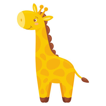 Cute giraffe 