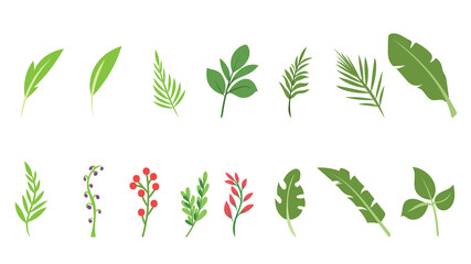 Green various shapes of leaves , isolated on white background , Vector Illustration EPS 10