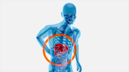 Abstract art of the gut system