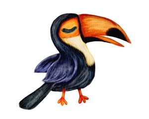 Hand drawn watercolor illustration of toucan tropical bird in cute  cartoon style, isolated on white. 
