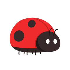 Fototapeta premium Ladybug vector. ladybug on white background. wallpaper. symbol.