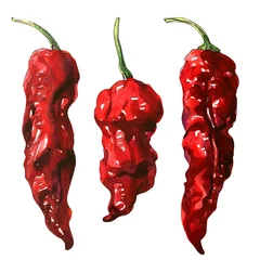 Fotobehang Red hot chili pepper, dry chilli cayenne pepper, dried spice, isolated, organic vegetarian food, natural ingredient, package design element, hand drawn watercolor illustration on white background © lnsdes