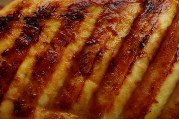 Grilled chicken meat on whole background, close up
