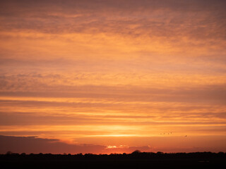 Golden sunset sky in Dutch landscape