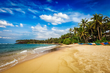 Tropical paradise idyllic beach. Mirissa, Sri lanka