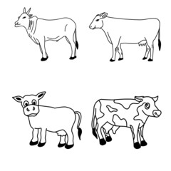 One set cow collection