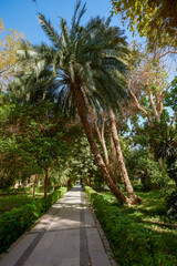variety of plants from the Botanical Garden of Aswan Egypt