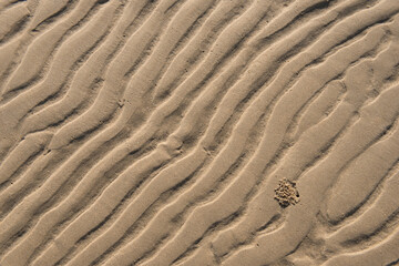 A crab's hole on sand background