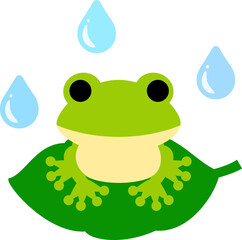 葉っぱに乗ったカエルと雨粒
