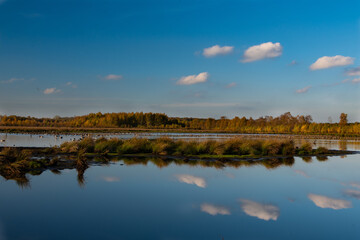 Wald, Blumen und mehr. Draussen ist es am schönsten