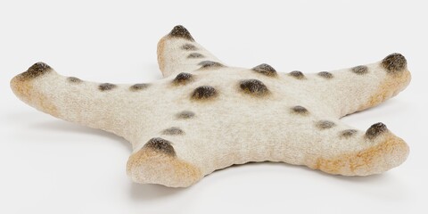 Realistic 3D Render of Chocolate Chip Starfish