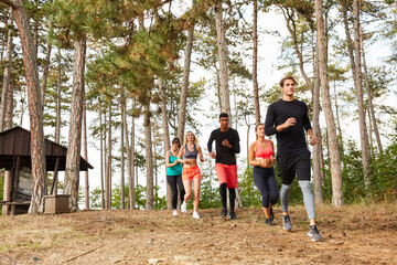 Group of friends jogging in nature