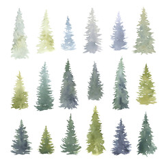 Watercolor Fir Trees Set