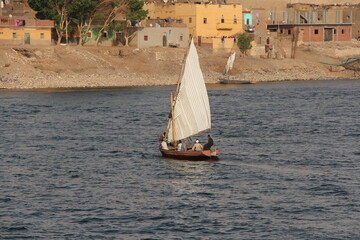 a felucca on the river nil