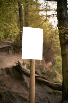 Empty information board on a wooden pole on the forest. Mock up attention sign in national park. Forest warning board.