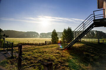 Morgens am Elbdeich in Wedel (bei Hamburg)