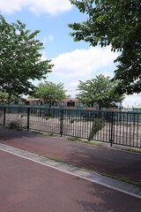 空と公園と緑葉