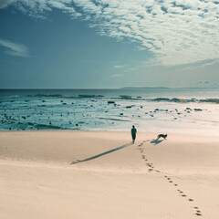 Idyllic seascape with a man walking on the lonely beach with his dog