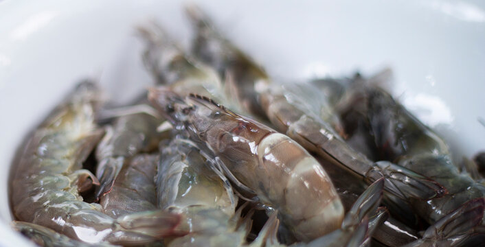 Fresh Raw Shrimp In A Bowl