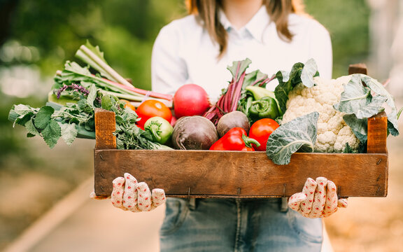 Crop Female Gardener Showing Vegetables