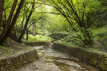 Dry stream with stone-lined banks in summer park among the trees