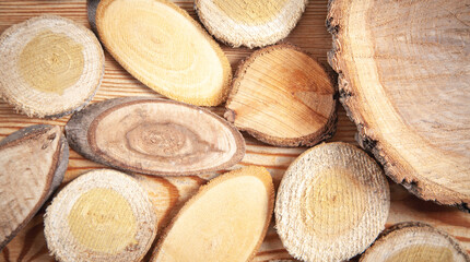 Slices of a tree on wooden background.