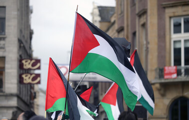 Palestinian waving flags in Amsterdam