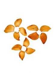 Fototapeta premium fried garlic chips on white background