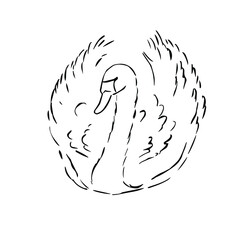 swan, bird. Template for the design of labels, banners, postcards or logos. vector illustration.