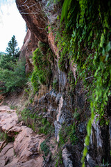 Zion National Park (late summer)