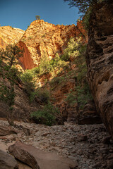 Zion National Park (late summer)
