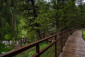 Mesa Falls Yellowstone (late summer)