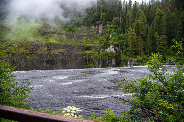Mesa Falls Yellowstone (late summer)