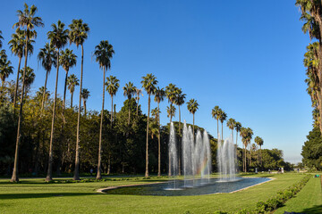 Low angle view of a palm trees line and fountain in Botanical garden El-Hamma Jardin d'Essai.
