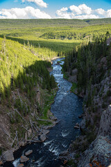 Yellowstone Tower falls (late Summer)