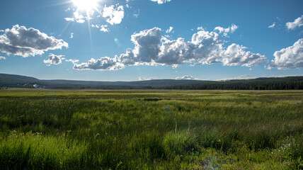 Yellowstone (late Summer)