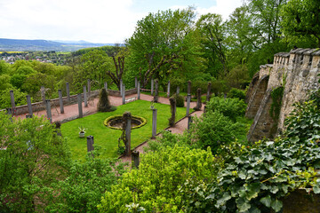 alte Schlossmauer im Altensteiner Schlossgarten mit Efeu