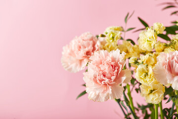 Fototapeta na wymiar Bouquet of pink carnations and yellow matthiola with green branches. Design concept of holiday greeting with carnation bouquet on pink background