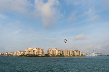 Coastal metropolis City of Miami in Florida, USA. Coastal resort city seen from sea