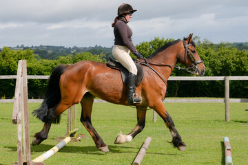 woman riding horse in the sunshine. 