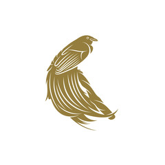 Birds of Paradise design vector illustration, Creative Birds of Paradise logo design concept template, symbols icons