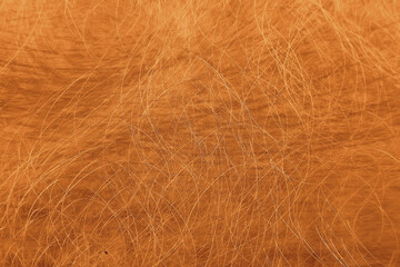golden background scratch blank texture / abstract metallic background old vintage wall